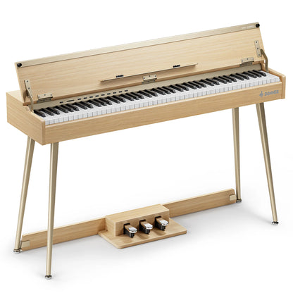 Donner DHP-300 PRO Beigi Digital Piano