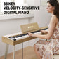 Donner DDP-60 88 Key Digital Piano - Light Oak Wood Grain