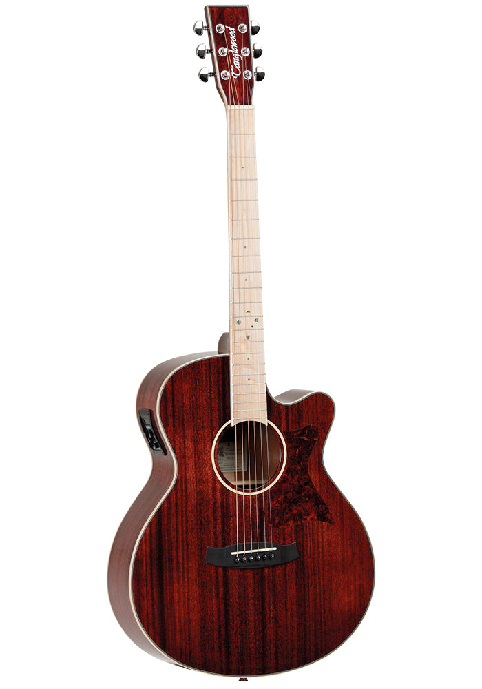 Acoustic Electric Guitar Tanglewood TW4 BLB