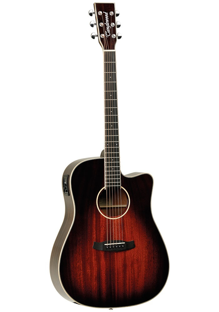 Acoustic Electric Guitar Tanglewood Winterleaf TW5 E AVB